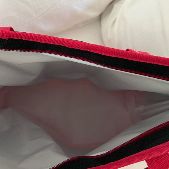 Trader Joes’s insulated bag - Picture 2 of 4